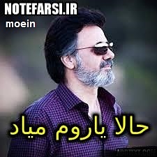 نت فارسی از معین