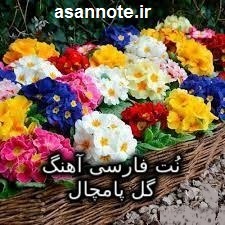 نت فارسی آهنگ گل پامچال